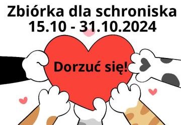 Zbiórka na rzecz schroniska dla bezdomnych zwierząt we Wrocławiu