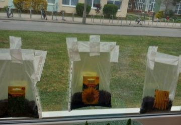 1c - Projekt edukacyjny Witaj Wiosno!